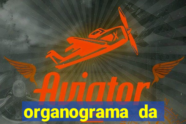 organograma da cacau show