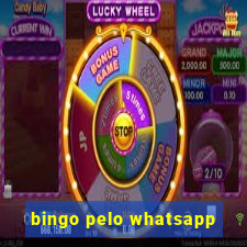 bingo pelo whatsapp