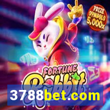 3788bet.com