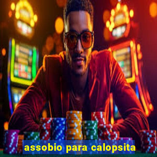 assobio para calopsita