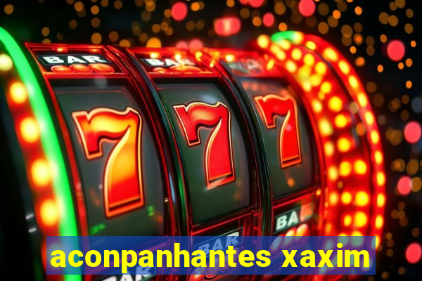 aconpanhantes xaxim