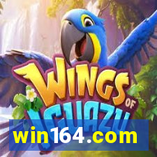 win164.com