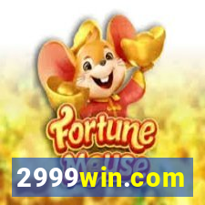 2999win.com