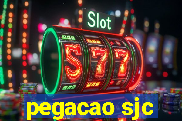 pegacao sjc