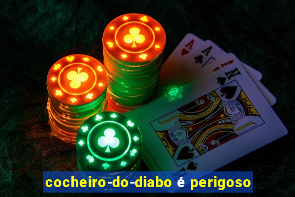 cocheiro-do-diabo é perigoso